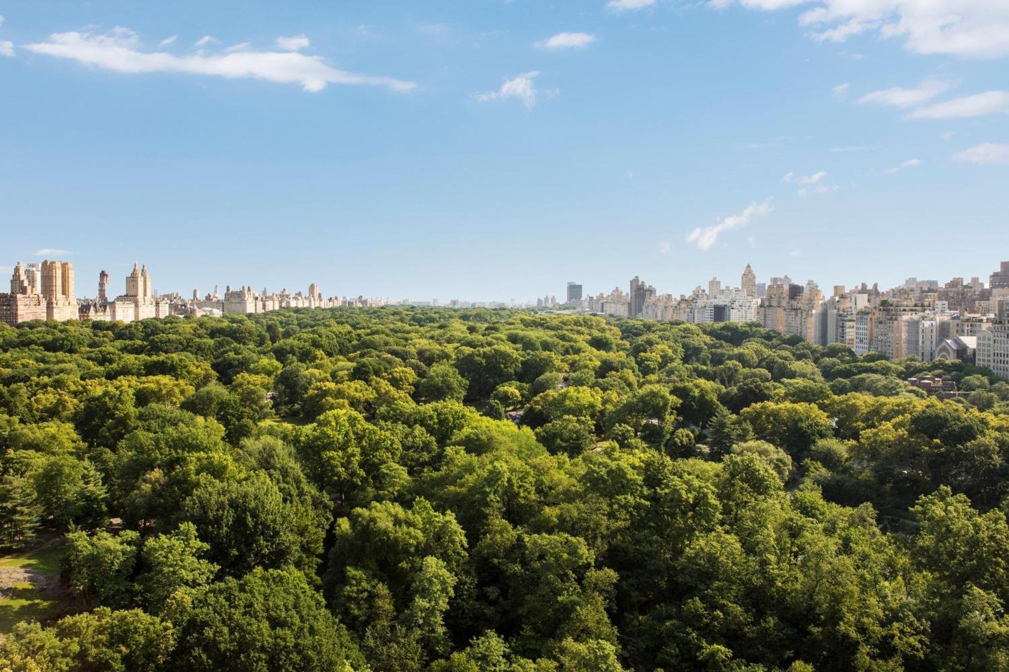The Ritz-Carlton New York, Central Park Exterior foto